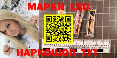 Альфа ПВП Гусиноозёрск