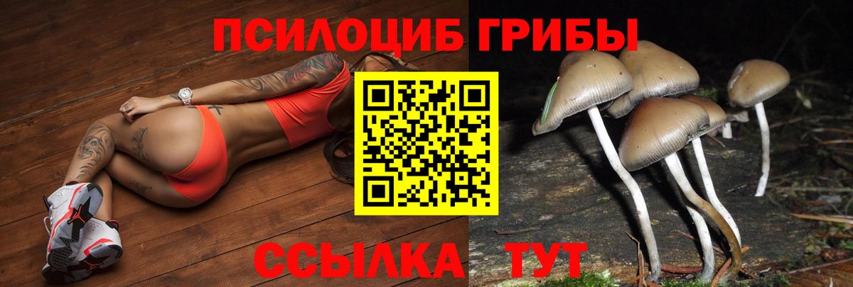 Нижневартовск  Галлюциногенные грибы мухоморы  Галлюциногенные грибы Psilocybine cubensis  Вход с VPN 